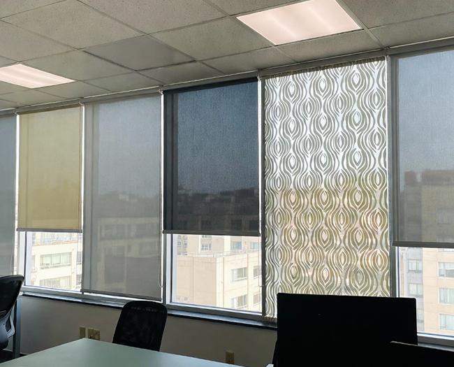 Window & Door Screens