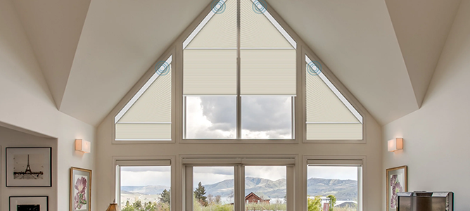 About（images 20）